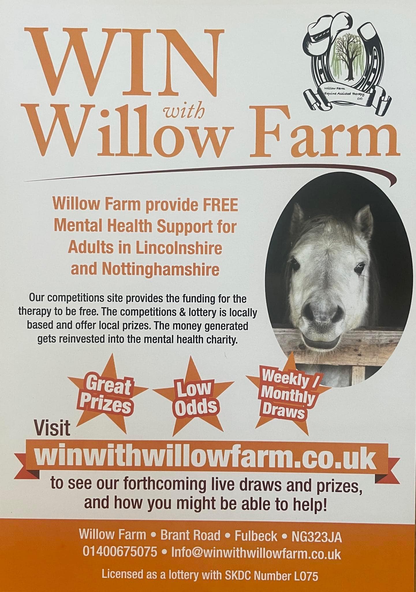 LEGO CONCORDE SET BRAND NEW SET (10318) - DRAWN FRIDAY 2ND FEBRUARY - Image 6