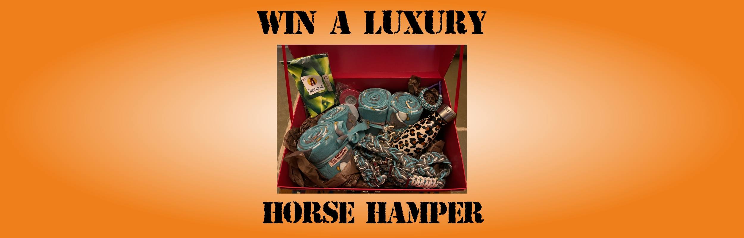 LUXURY HAMPER OF HORSE ACCESSORIES - DRAWN FRIDAY 9TH FEBRUARY