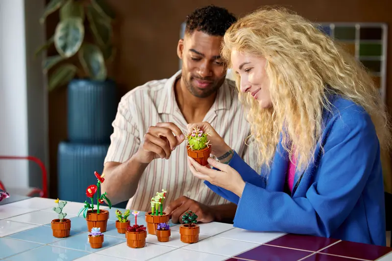 LEGO TINY PLANTS SET (10329) - DRAWN FRIDAY 3RD MAY - Image 3