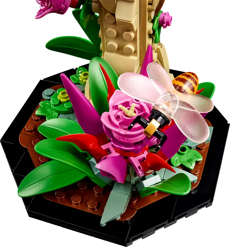 LEGO INCREDIBLE INSECTS COLLECTION (21342) - FREE DRAW DRAWN SEPT 27TH - Image 6